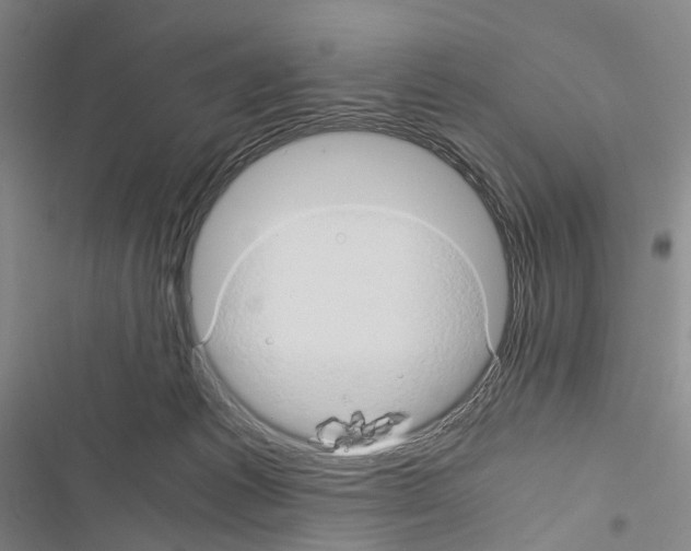 X0000116440221201001191538