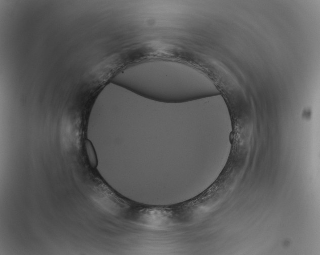 X0000116440223201001191538