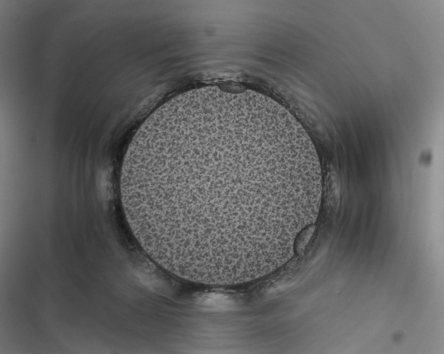 X0000116440224201001191538