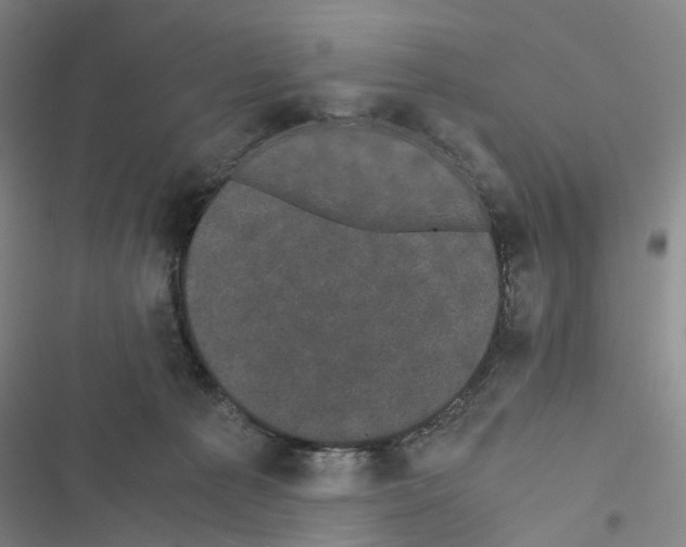 X0000116440225201001191538