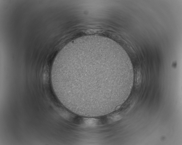 X0000116440226201001191538