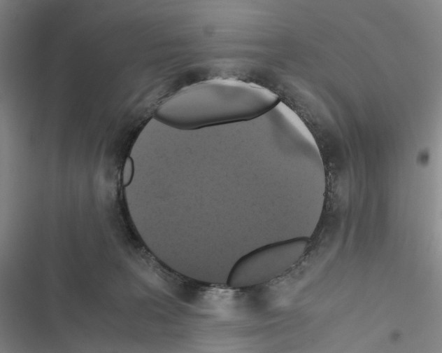 X0000116440227201001191538