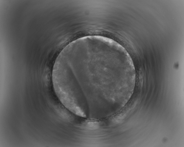 X0000116440228201001191538