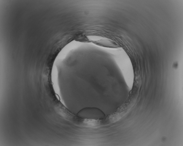 X0000116440231201001191538