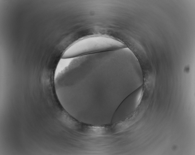 X0000116440233201001191538