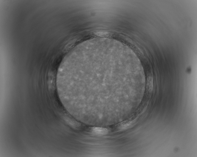 X0000116440234201001191538