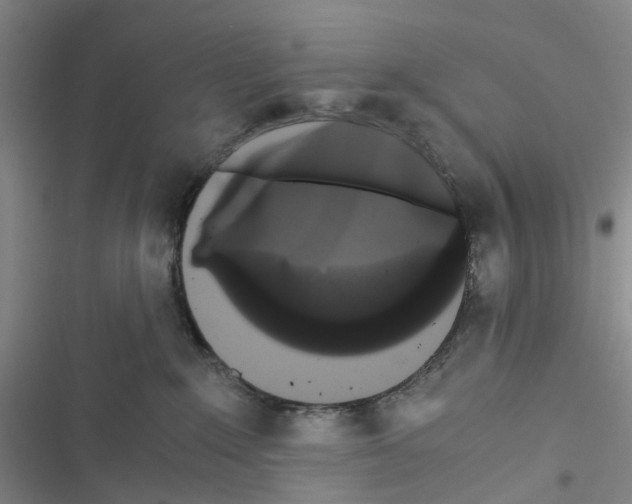 X0000116440235201001191538