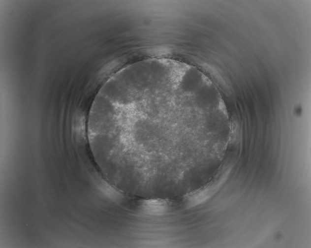 X0000116440238201001191538