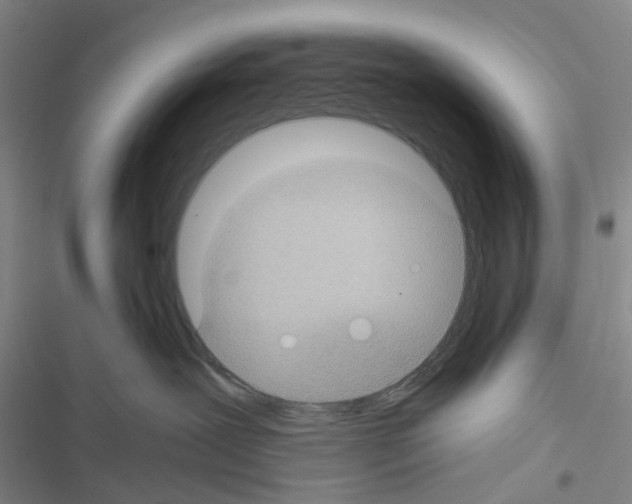 X0000116440239201001191538