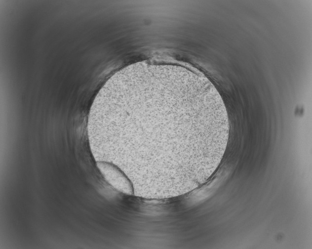 X0000116440240201001191538