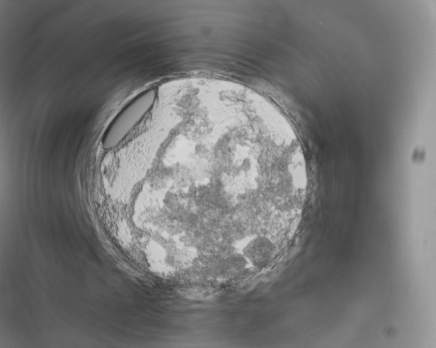 X0000116440241201001191537