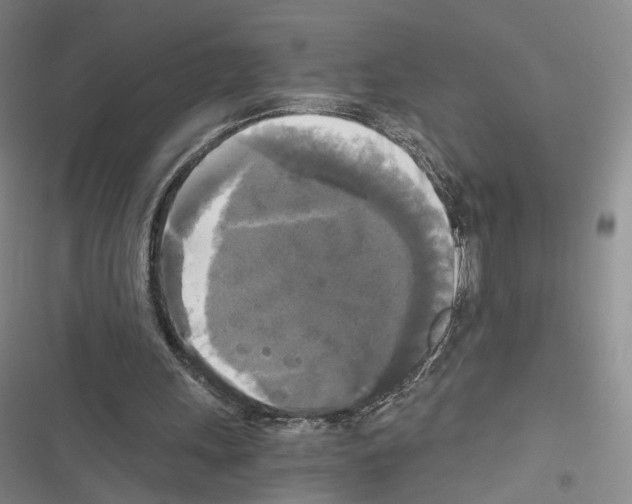 X0000116440243201001191537