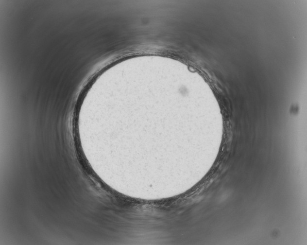 X0000116440244201001191538