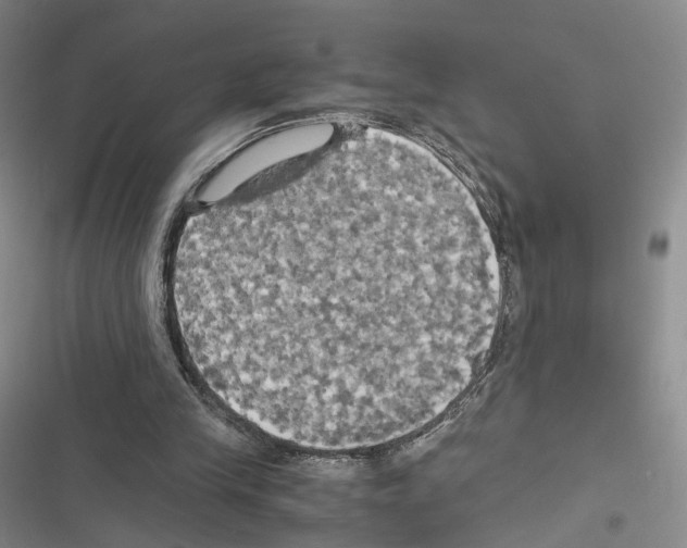 X0000116440245201001191538