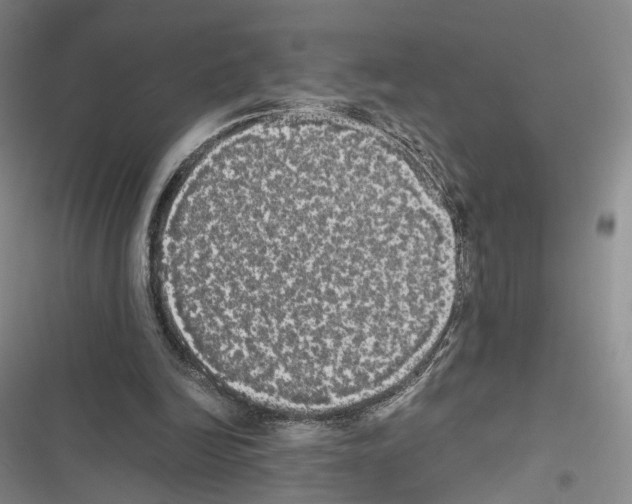 X0000116440246201001191538