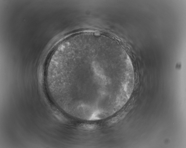 X0000116440247201001191538