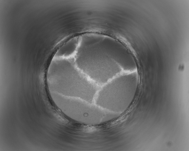 X0000116440249201001191538