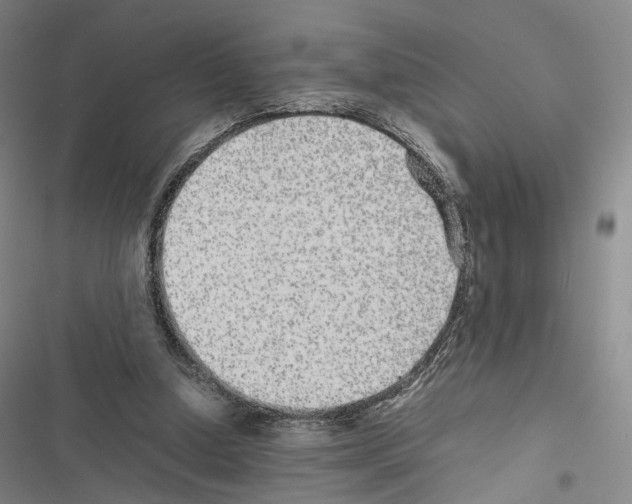 X0000116440250201001191538