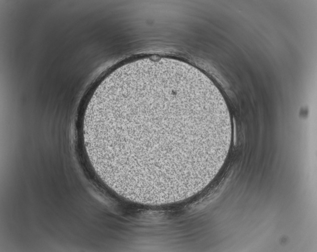 X0000116440252201001191538