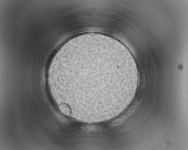 X0000116440253201001191538