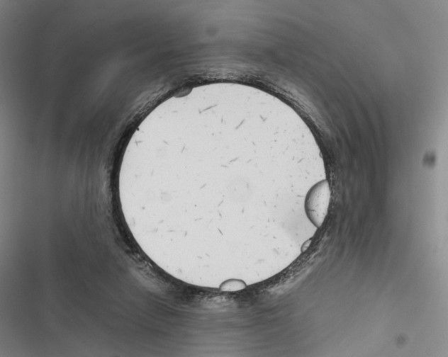 X0000116440258201001191538