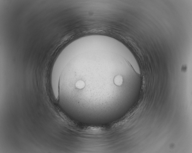 X0000116440260201001191538