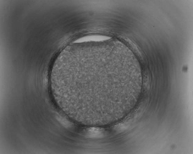 X0000116440261201001191538