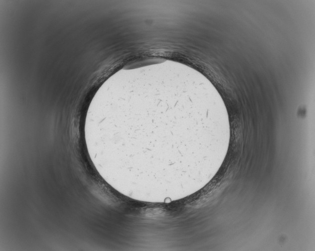 X0000116440262201001191538