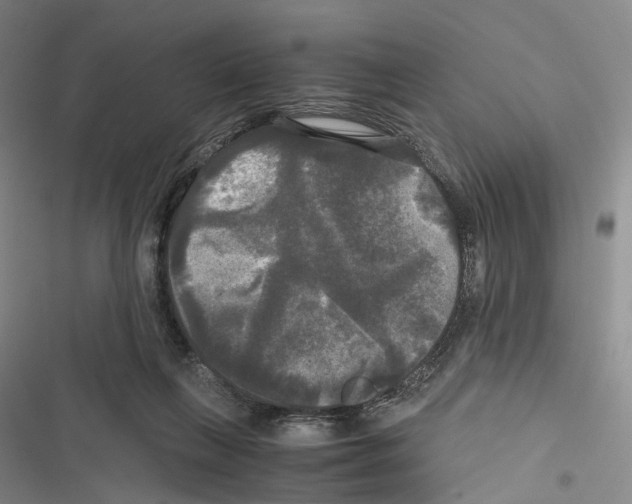 X0000116440263201001191538