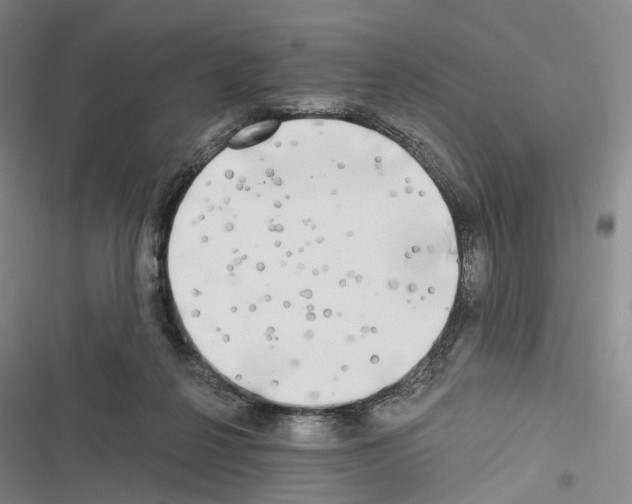 X0000116440264201001191538