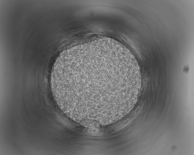 X0000116440265201001191538