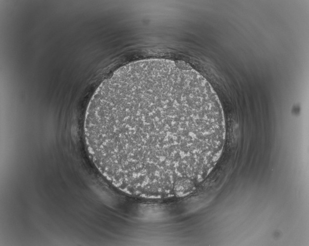 X0000116440266201001191538