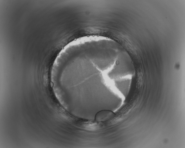 X0000116440267201001191538