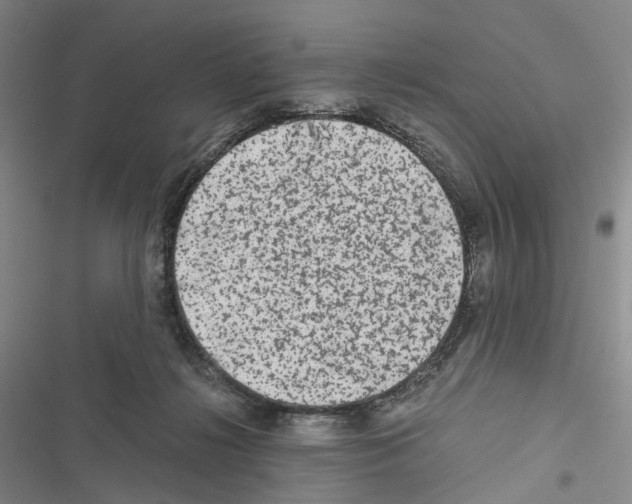 X0000116440268201001191538