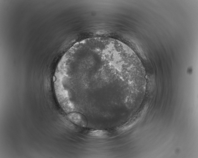 X0000116440269201001191538