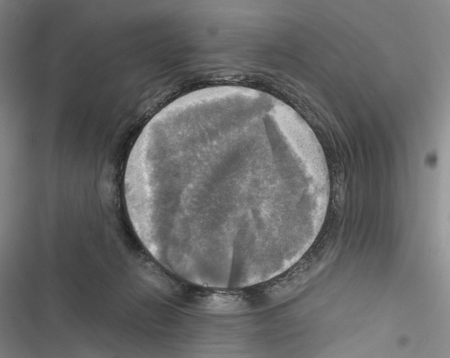 X0000116440270201001191538