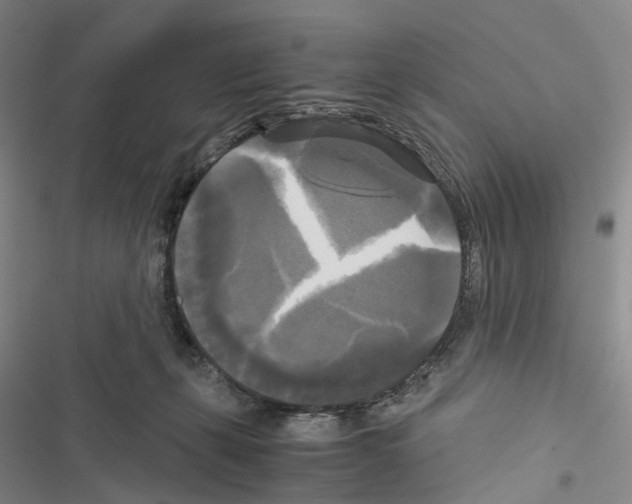 X0000116440271201001191538