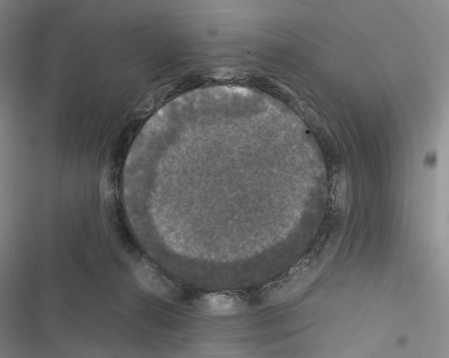 X0000116440272201001191538