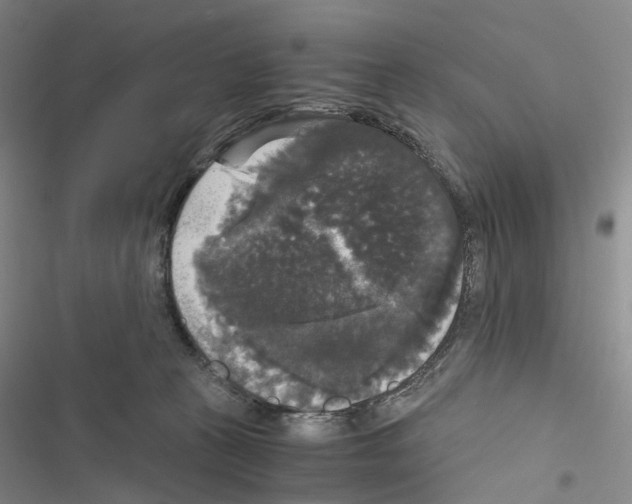 X0000116440273201001191538