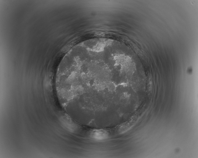 X0000116440275201001191538