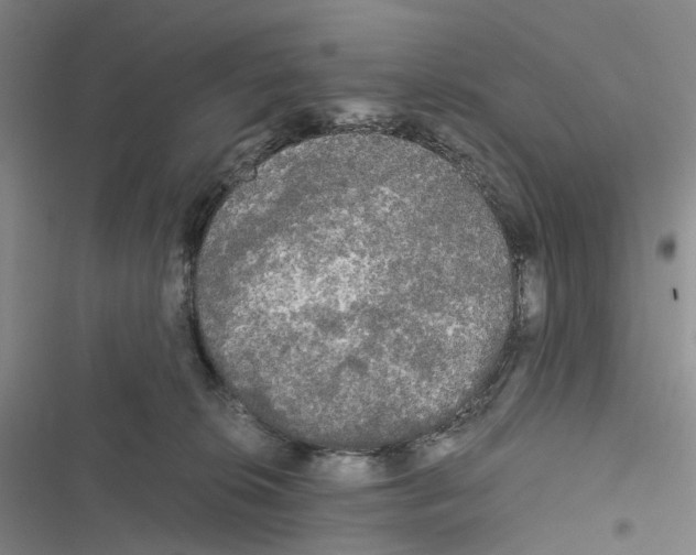 X0000116440276201001191538