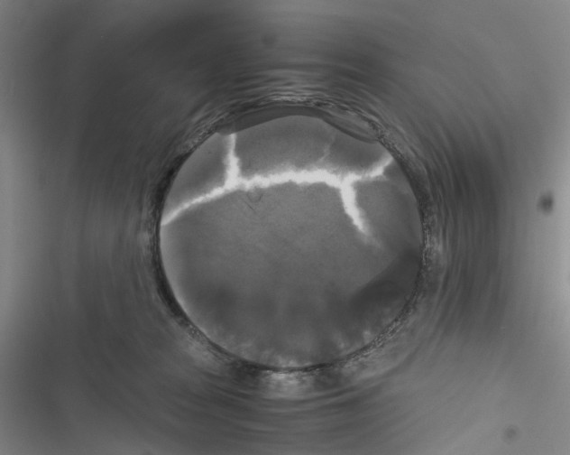 X0000116440277201001191538