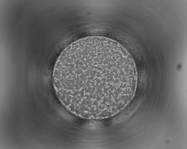 X0000116440278201001191538