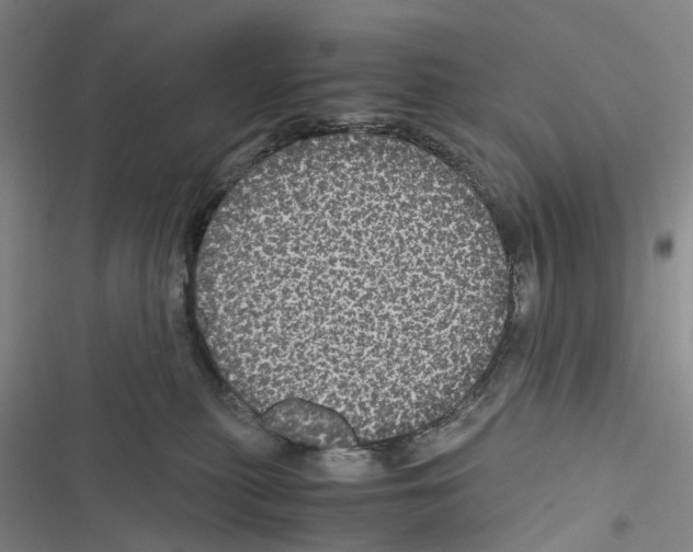 X0000116440279201001191538