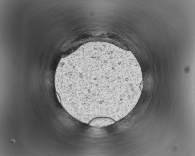 X0000116440280201001191538