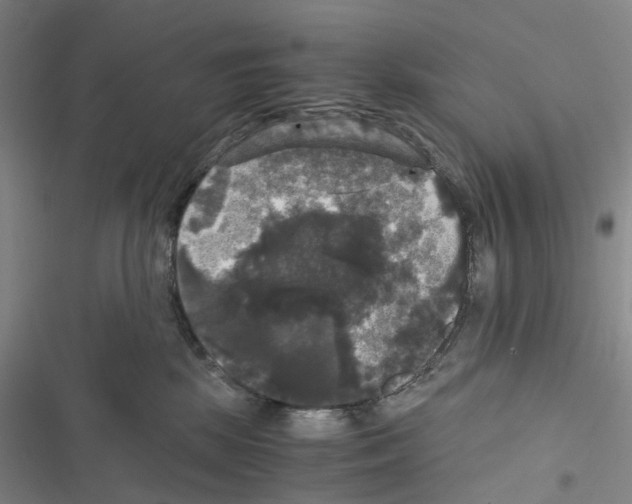 X0000116440281201001191538