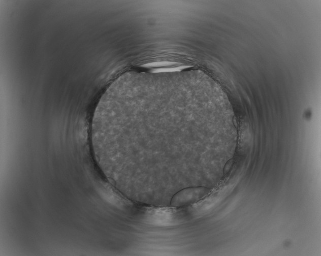 X0000116440282201001191538