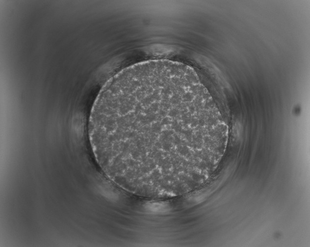 X0000116440283201001191538