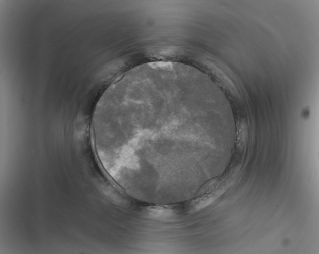 X0000116440284201001191538