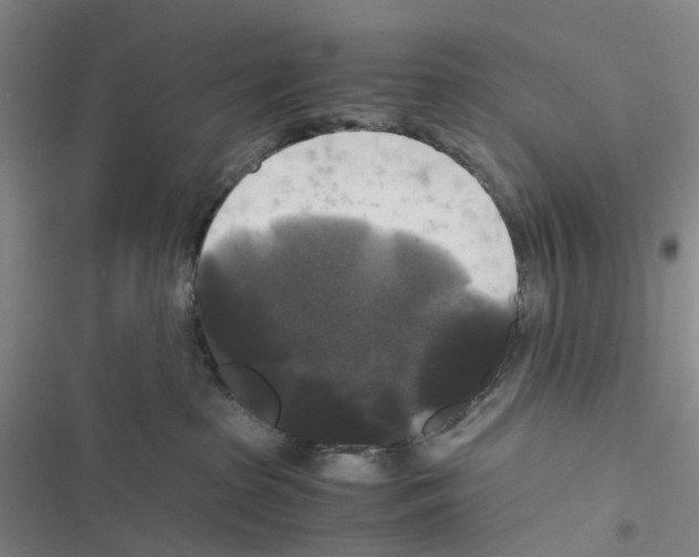 X0000116440285201001191538